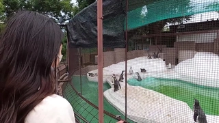 А√天堂资源地址在线官网下载后入学生装小母狗（验证小母狗跪舔，喷水）