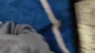 飞剑问道最新章节列表良家妹子守身如玉！好不容易玩游戏还翻车【新款科技约炮神器到货看简阶】