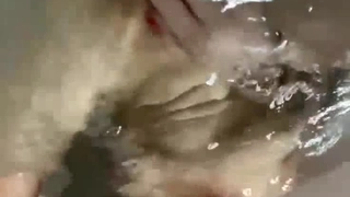 HONB-323 飲酒して性交渉 それとも性交渉して飲酒 せいら